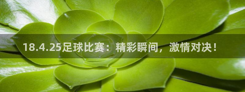  18.4.25足球比赛：精彩瞬间，激情对决！