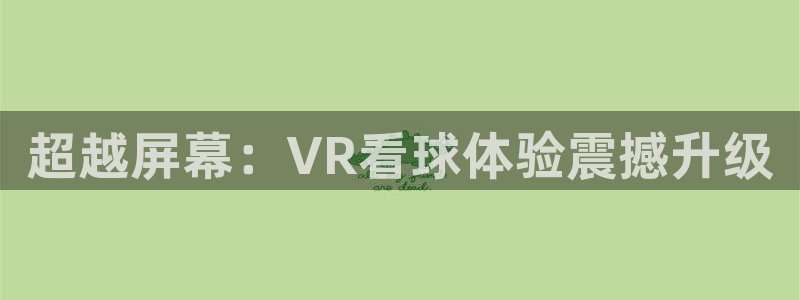 超越屏幕：VR看球体验震撼升级