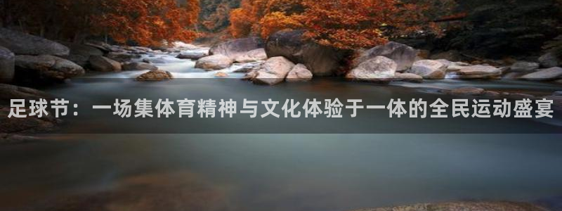 足球节：一场集体育精神与文化体验于一体的全民运动盛宴