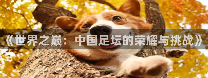  《世界之巅：中国足坛的荣耀与挑战》