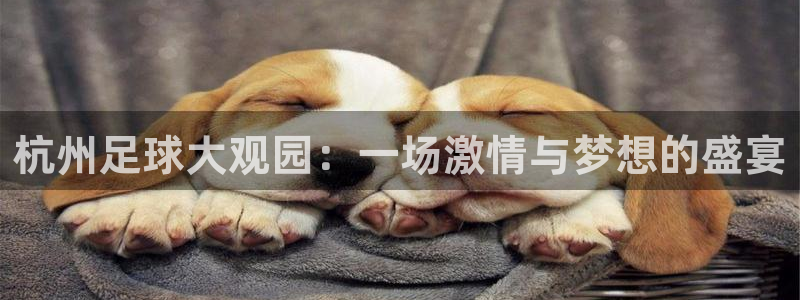 杭州足球大观园：一场激情与梦想的盛宴