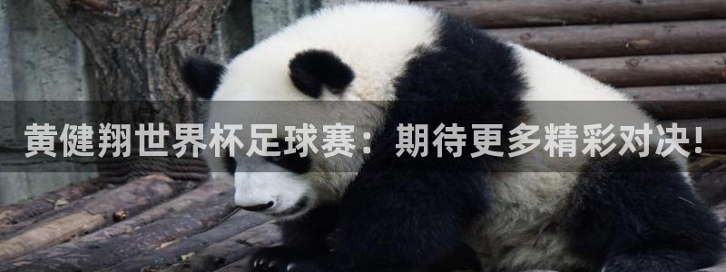 黄健翔世界杯足球赛：期待更多精彩对决!