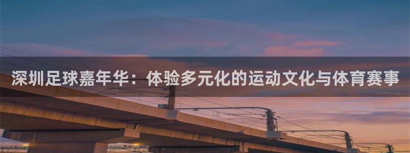 深圳足球嘉年华：体验多元化的运动文化与体育赛事