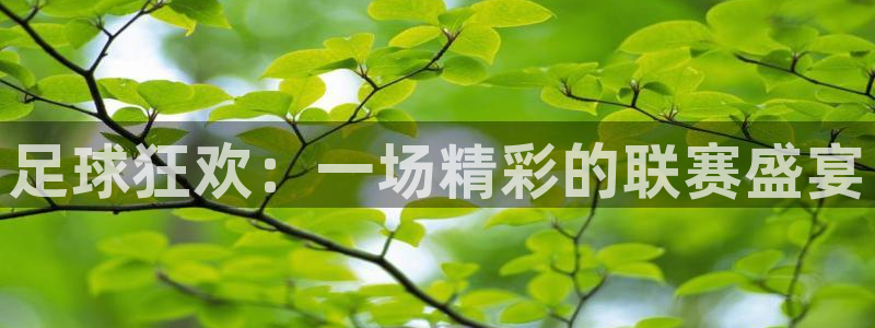 足球狂欢：一场精彩的联赛盛宴
