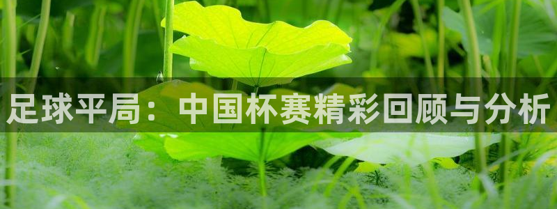  足球平局：中国杯赛精彩回顾与分析