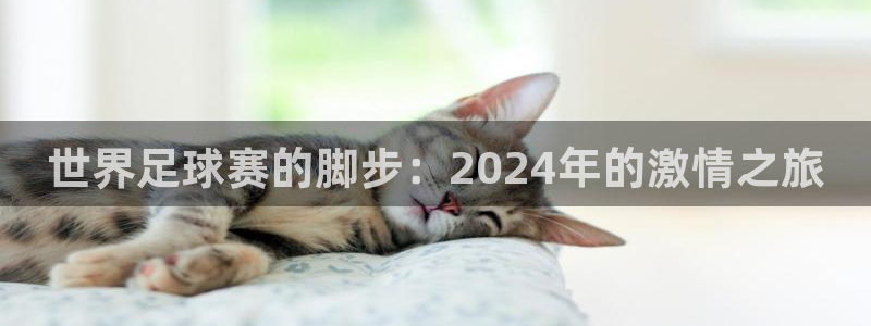 世界足球赛的脚步：2024年的激情之旅
