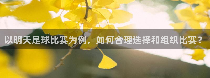 以明天足球比赛为例，如何合理选择和组织比赛？
