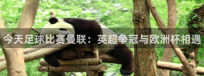  今天足球比赛曼联：英超争冠与欧洲杯相遇