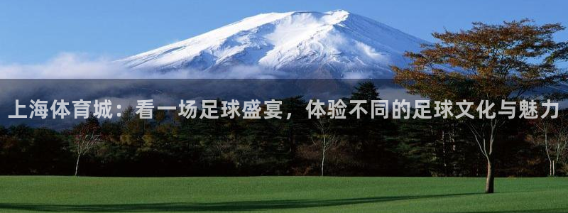 上海体育城：看一场足球盛宴，体验不同的足球文化与魅力