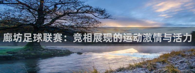 廊坊足球联赛：竞相展现的运动激情与活力