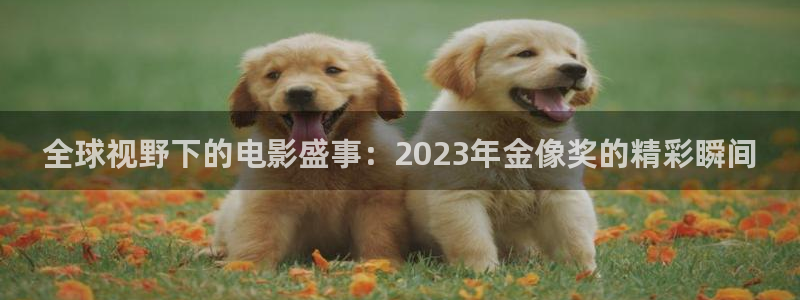 833体育在线直播在线看：全球视野下的电影盛事：2023年金像奖的精彩瞬间