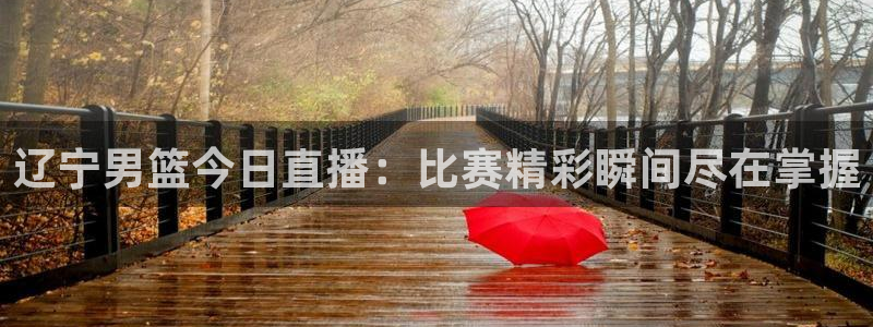 833比赛直播观看：辽宁男篮今日直播：比赛精彩瞬间尽在掌握