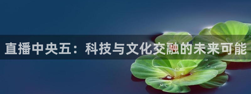 833体育赛事直播app：直播中央五：科技与文化交融的未来可能