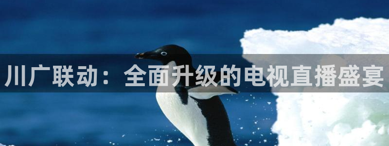 833赛事直播：川广联动：全面升级的电视直播盛宴