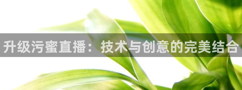 833直播足球比赛视频：升级污蜜直播：技术与创意的完美结合