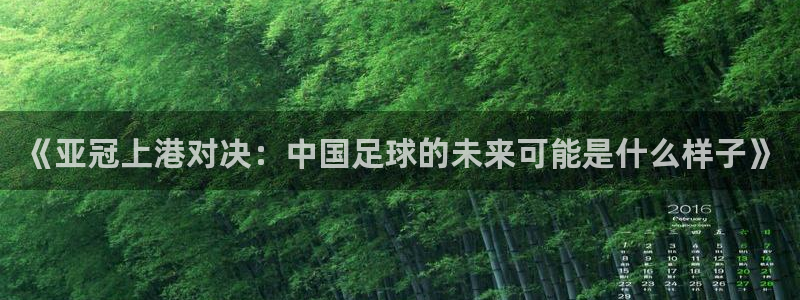 《亚冠上港对决：中国足球的未来可能是