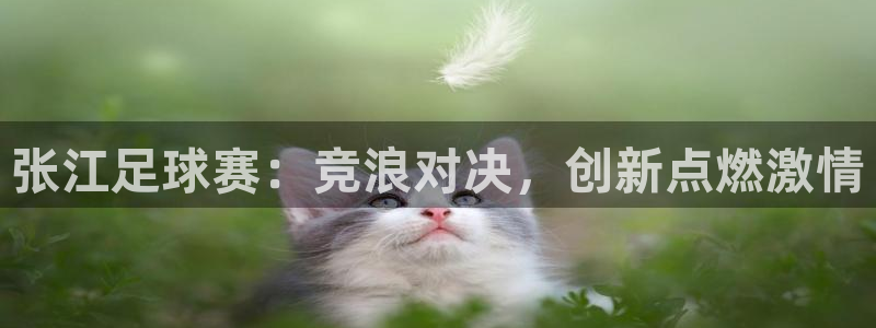 张江足球赛：竞浪对决，创新点燃激情