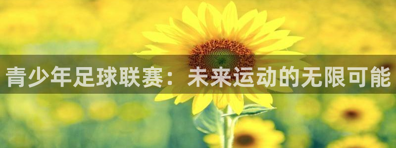 青少年足球联赛：未来运动的无限可能