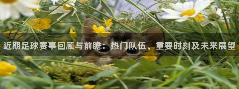 近期足球赛事回顾与前瞻：热门队伍、重