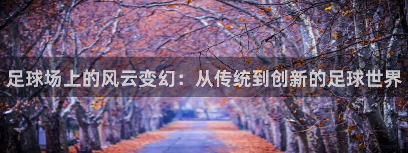 足球场上的风云变幻：从传统到创新的足球世界