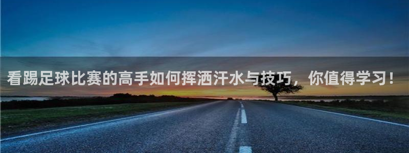 看踢足球比赛的高手如何挥洒汗水与技巧