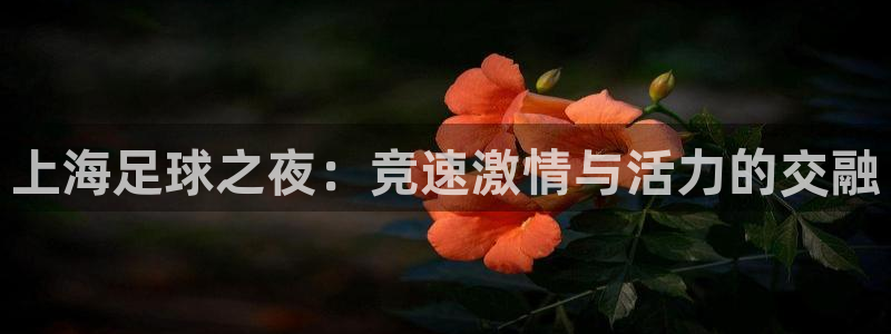  上海足球之夜：竞速激情与活力的交融