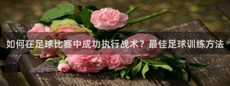  如何在足球比赛中成功执行战术？最佳足球训练方法