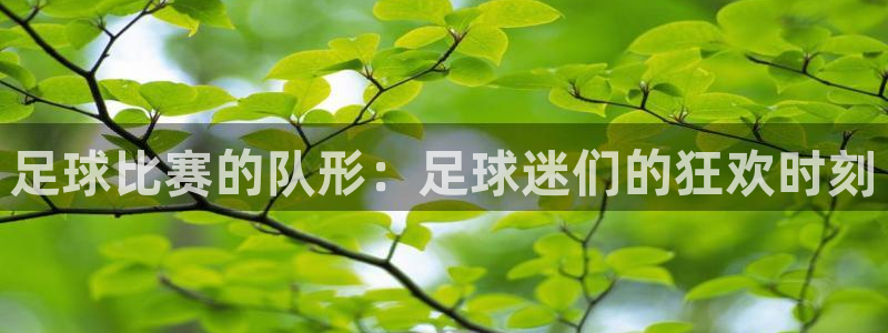 足球比赛的队形：足球迷们的狂欢时刻