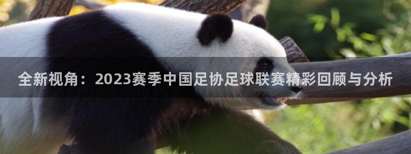 全新视角：2023赛季中国足协足球联赛精彩回顾与分析