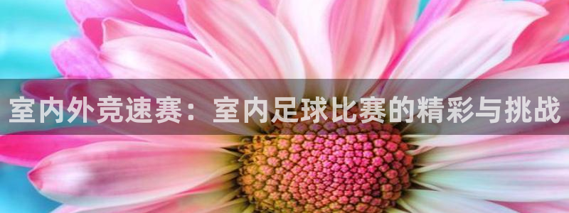 室内外竞速赛：室内足球比赛的精彩与挑
