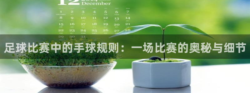 足球比赛中的手球规则：一场比赛的奥秘