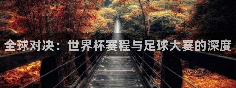  全球对决：世界杯赛程与足球大赛的深度