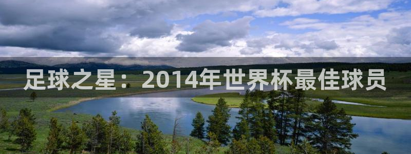 足球之星：2014年世界杯最佳球员