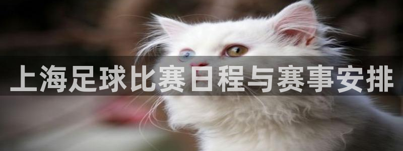  上海足球比赛日程与赛事安排