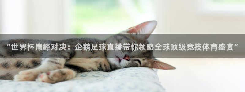 833nba直播在线观看免费：“世界杯巅峰对决：企鹅足球直播带你领略全球顶级竞技体育盛宴”