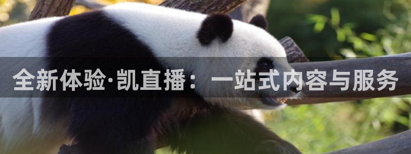 833体育赛事直播app：全新体验·凯直播：一站式内容与服务