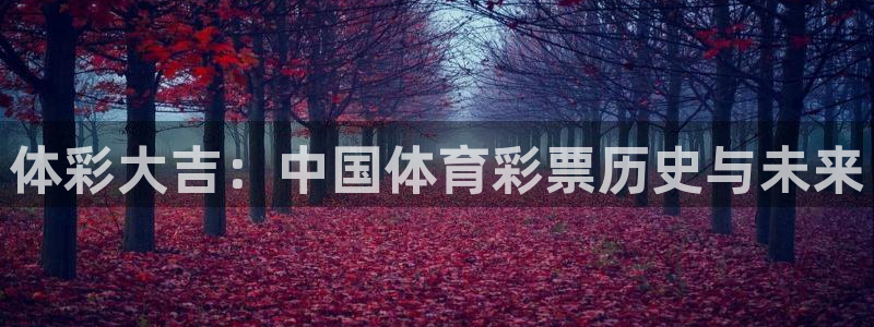 833篮球直播在线直播观看免费：体彩大吉：中国体育彩票历史与未来