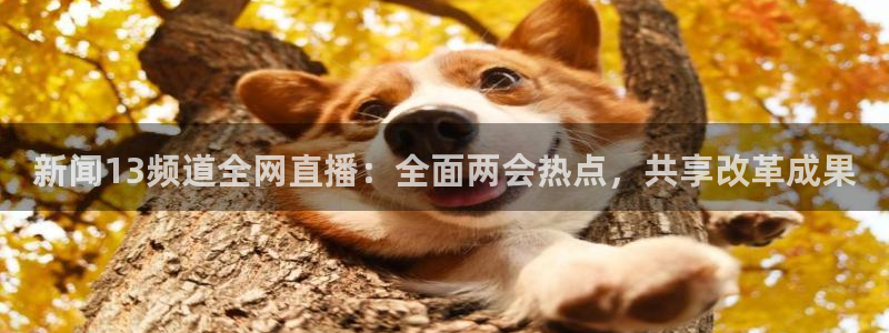 833直播体育免费观看：新闻13频道全网直播：全面两会热点，共享改革成果