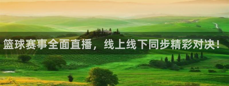 833直播nba：篮球赛事全面直播，线上线下同步精彩对决！